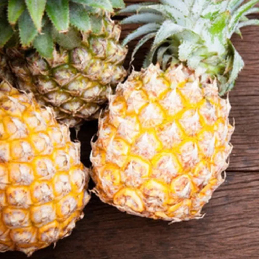 Pineapple Soy Wax Melt  2.5 oz | Melts For Wax Warmer Clamshell